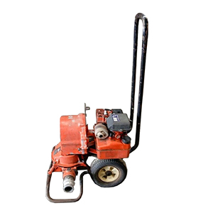 Homelite  Pump Parts Homelite 111DP22-(UT-01590) Parts
