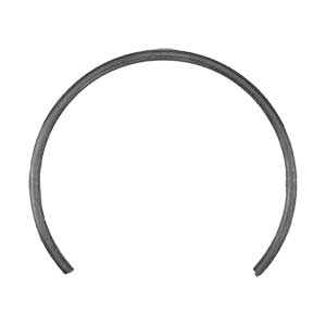 Ridgid 079077051098 Ring Fixed